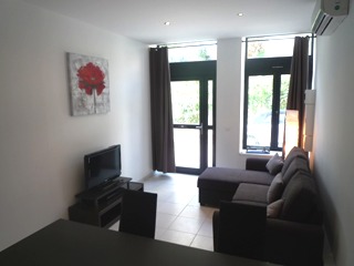 flat in cannes near the conference center