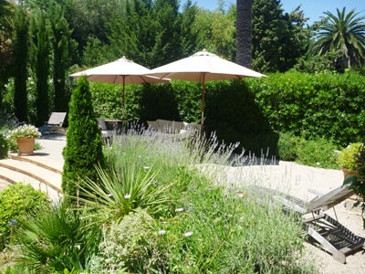 garden1