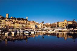 suquet